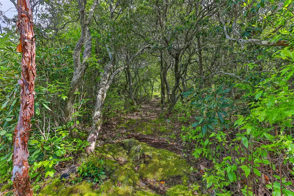 224 Knob Hill Highlands NC 28741