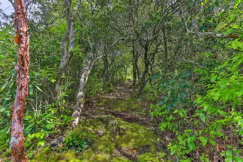 224 Knob Hill Highlands NC 28741