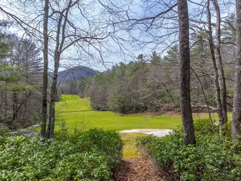120 Holly Forest Court Sapphire NC 28774