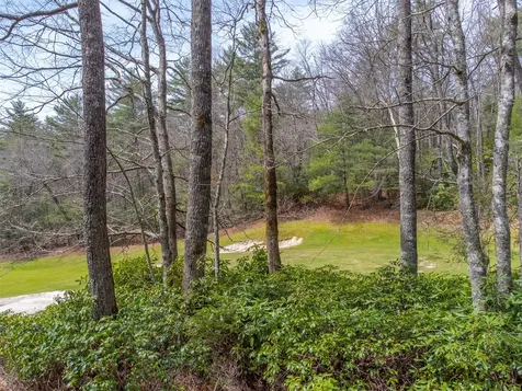 120 Holly Forest Court Sapphire NC 28774