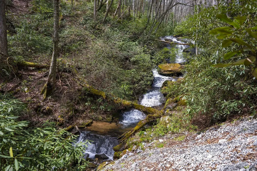 Tbd Diamonds Creek Road Rosman NC 28772