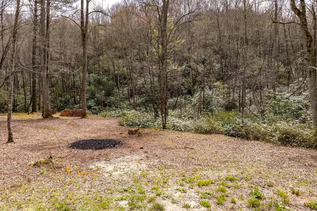 Tbd Diamonds Creek Road Rosman NC 28772