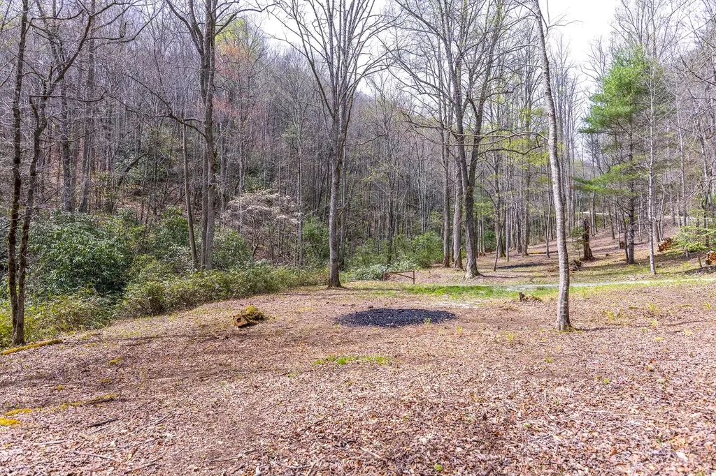 Tbd Diamonds Creek Road Rosman NC 28772