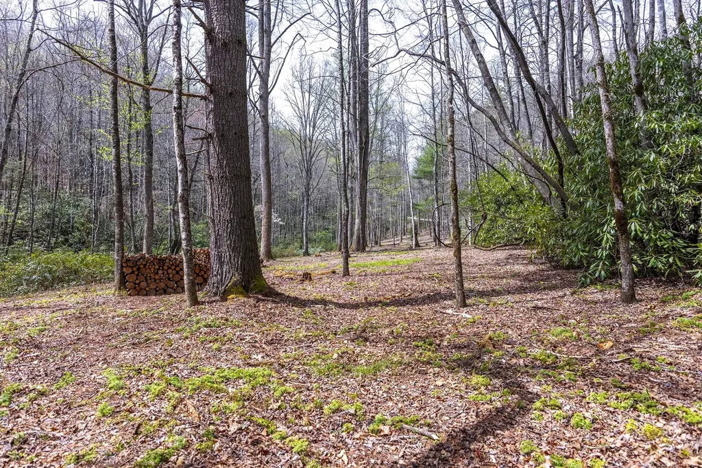 Tbd Diamonds Creek Road Rosman NC 28772