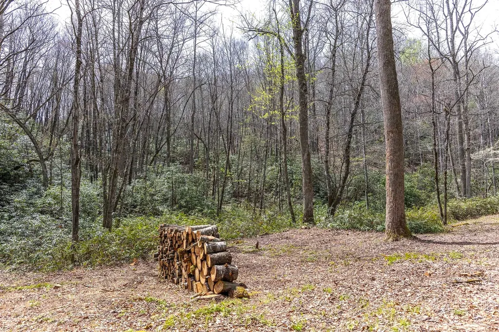 Tbd Diamonds Creek Road Rosman NC 28772