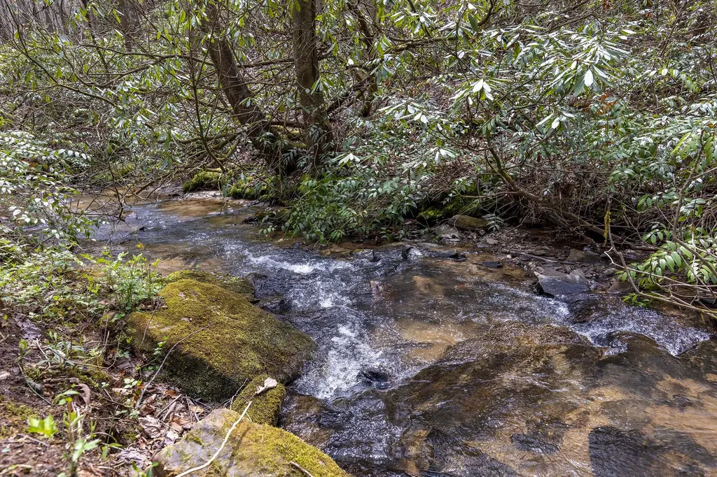 Tbd Diamonds Creek Road Rosman NC 28772
