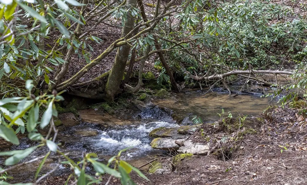 Tbd Diamonds Creek Road Rosman NC 28772