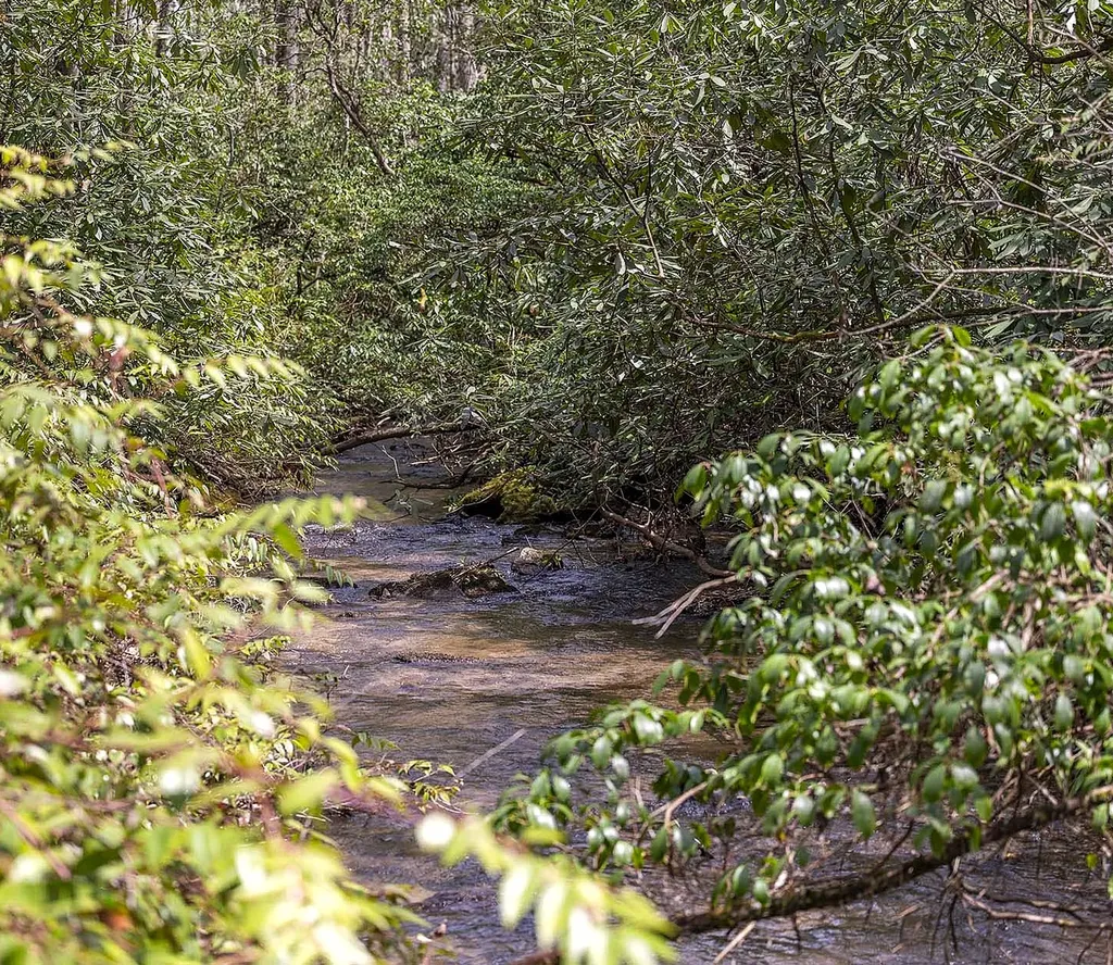 Tbd Diamonds Creek Road Rosman NC 28772