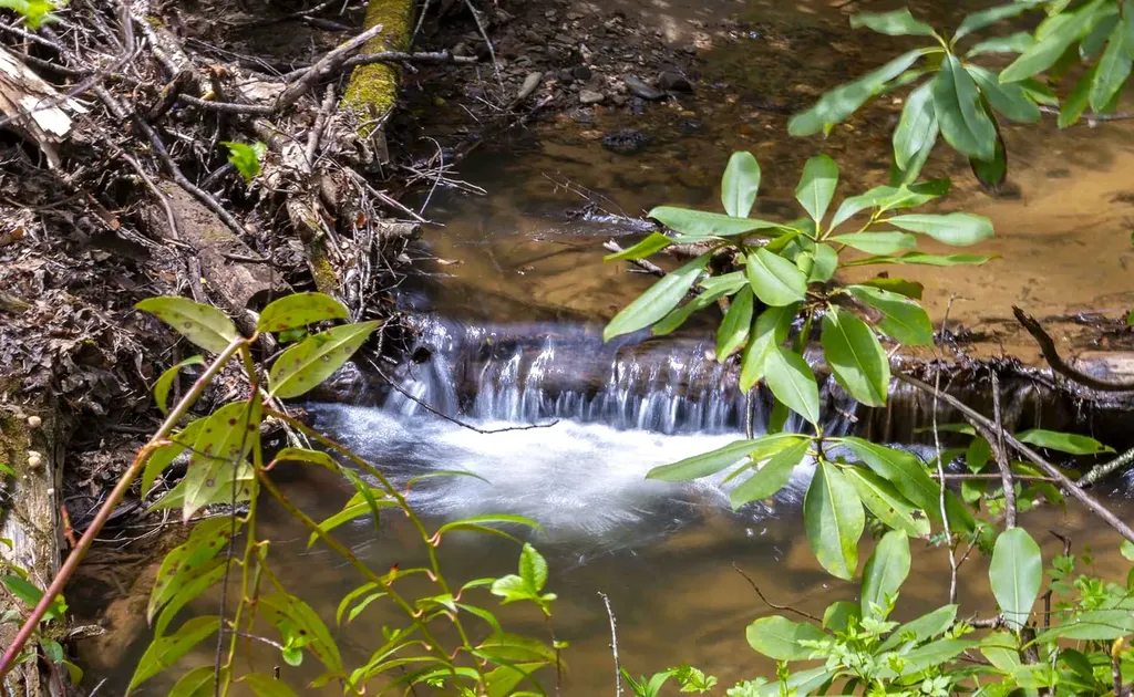 Tbd Diamonds Creek Road Rosman NC 28772