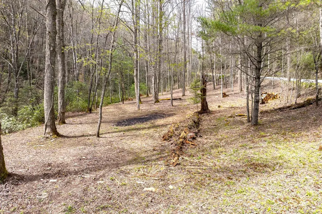 Tbd Diamonds Creek Road Rosman NC 28772