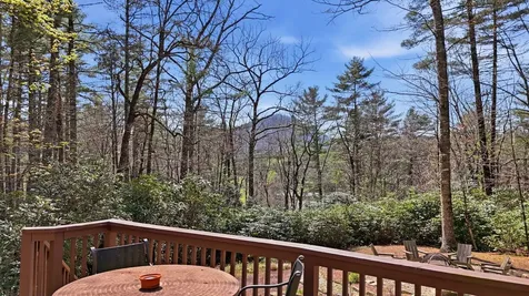 280 Holly Forest Court Sapphire NC 28774