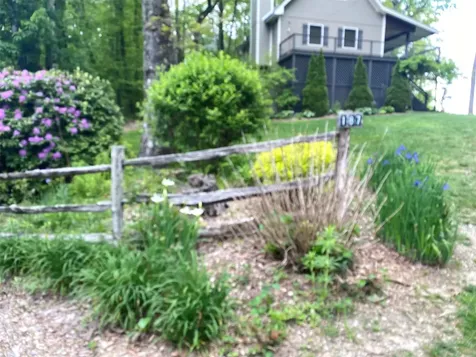 187 Evans Creek Road Scaly Mountain NC 28775