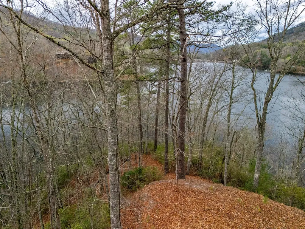 159 Songcatcher Court Tuckasegee NC 28783