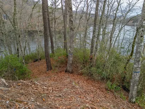 159 Songcatcher Court Tuckasegee NC 28783