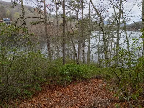 159 Songcatcher Court Tuckasegee NC 28783