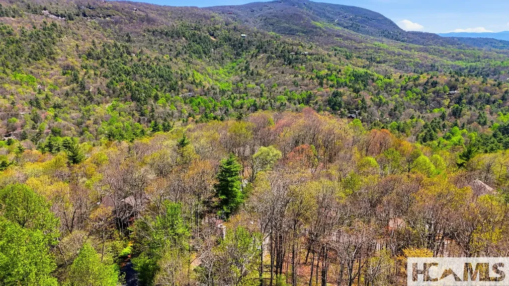 30 Birdnest Road Sapphire NC 28774