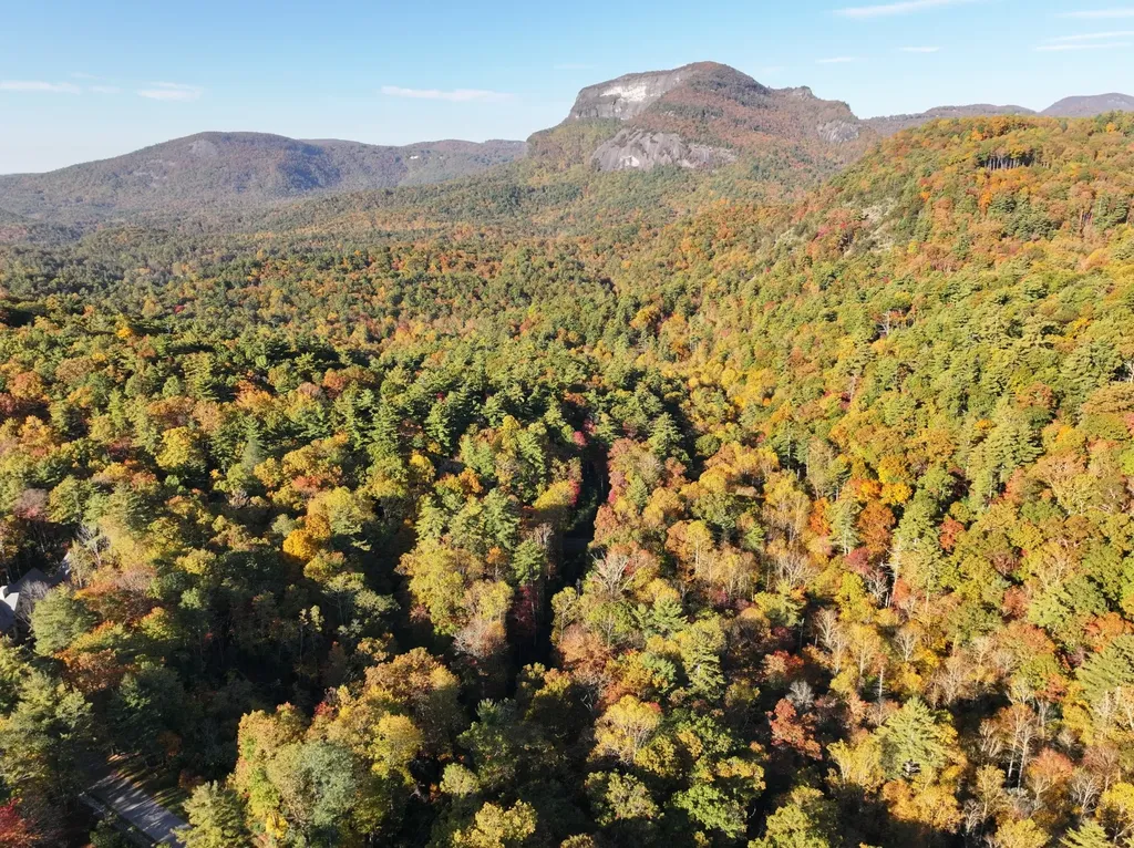 Lot 17 Saratay Falls Drive Cashiers NC 28717