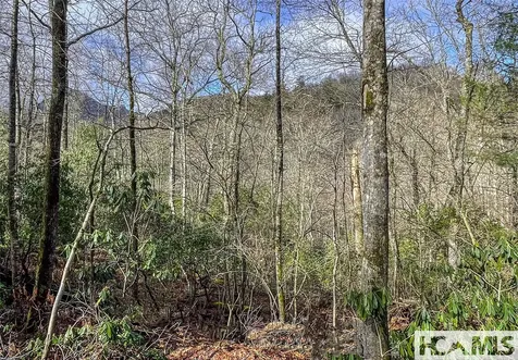 Lot 17 Saratay Falls Drive Cashiers NC 28717