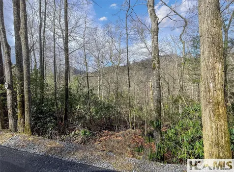 Lot 17 Saratay Falls Drive Cashiers NC 28717