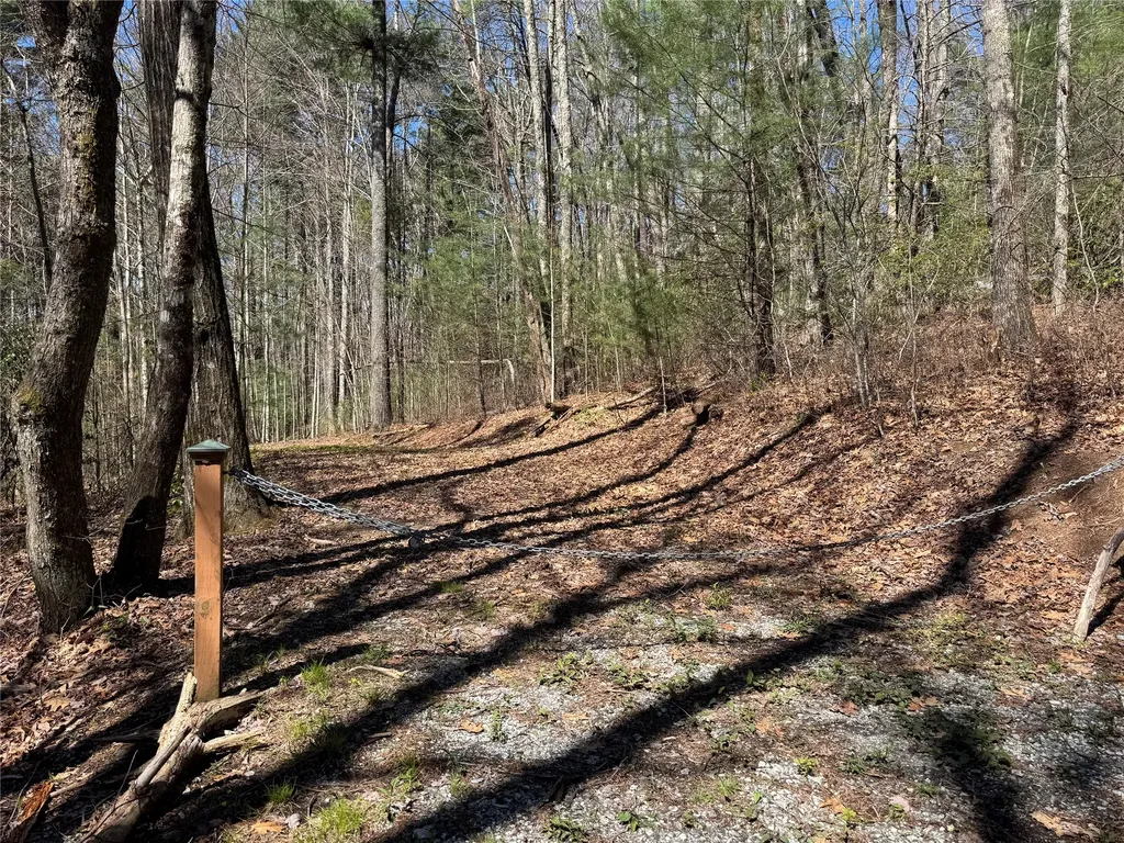 Lot 1 Bear Log Road Cashiers NC 28717
