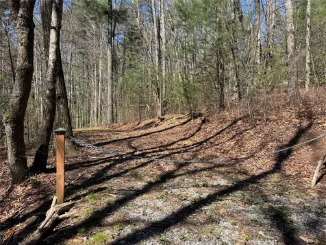 Lot 1 Bear Log Road Cashiers NC 28717