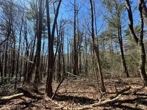 Lot 1 Bear Log Road Cashiers NC 28717