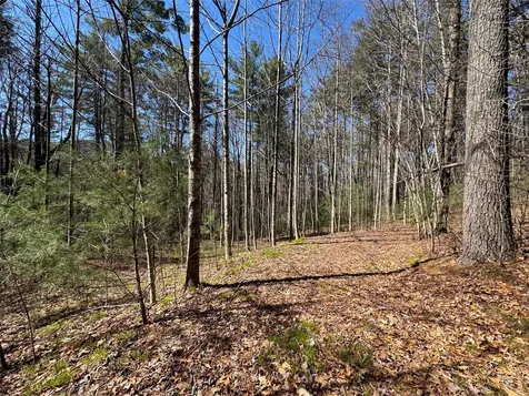 Lot 1 Bear Log Road Cashiers NC 28717