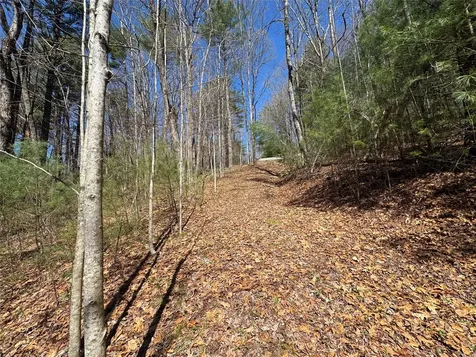Lot 1 Bear Log Road Cashiers NC 28717