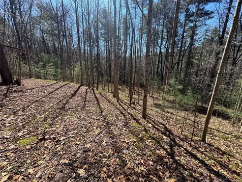 Lot 1 Bear Log Road Cashiers NC 28717