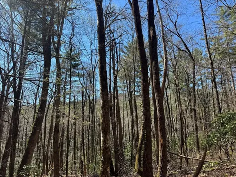 Lot 1 Bear Log Road Cashiers NC 28717