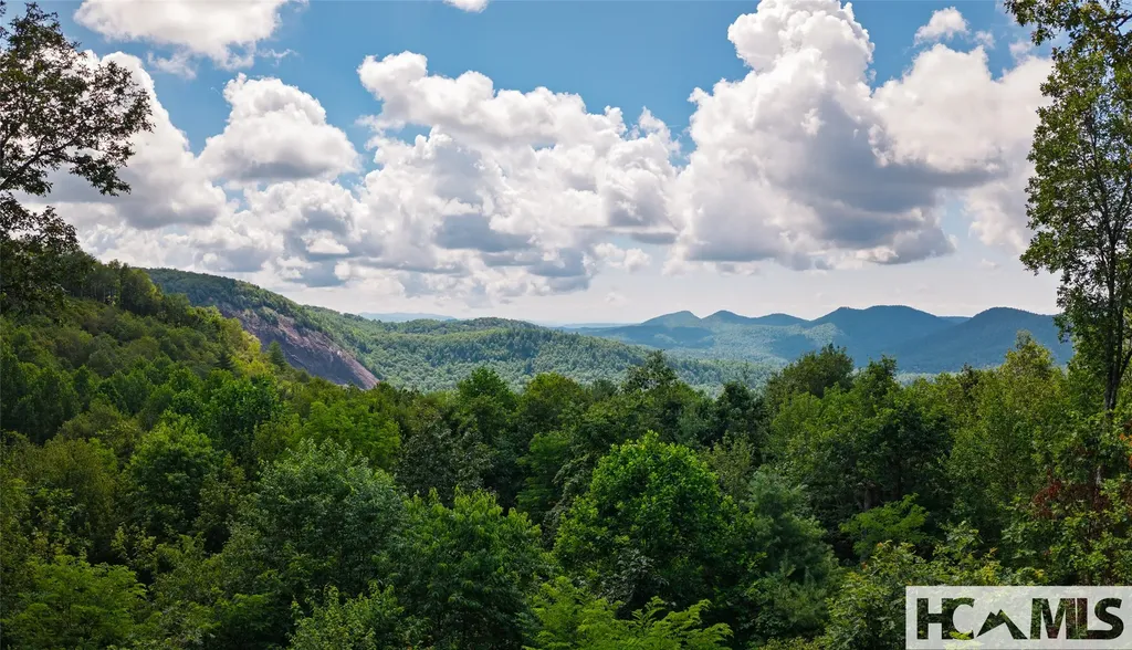 1778 Spring Forest Road Sapphire NC 28774