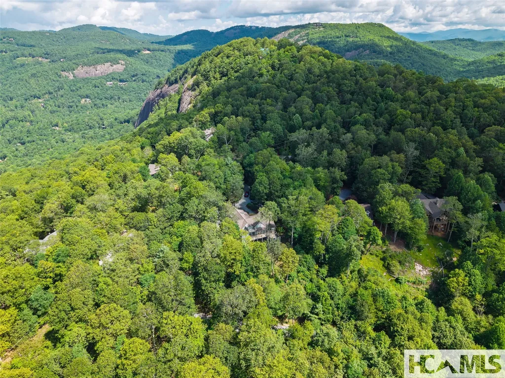 1778 Spring Forest Road Sapphire NC 28774