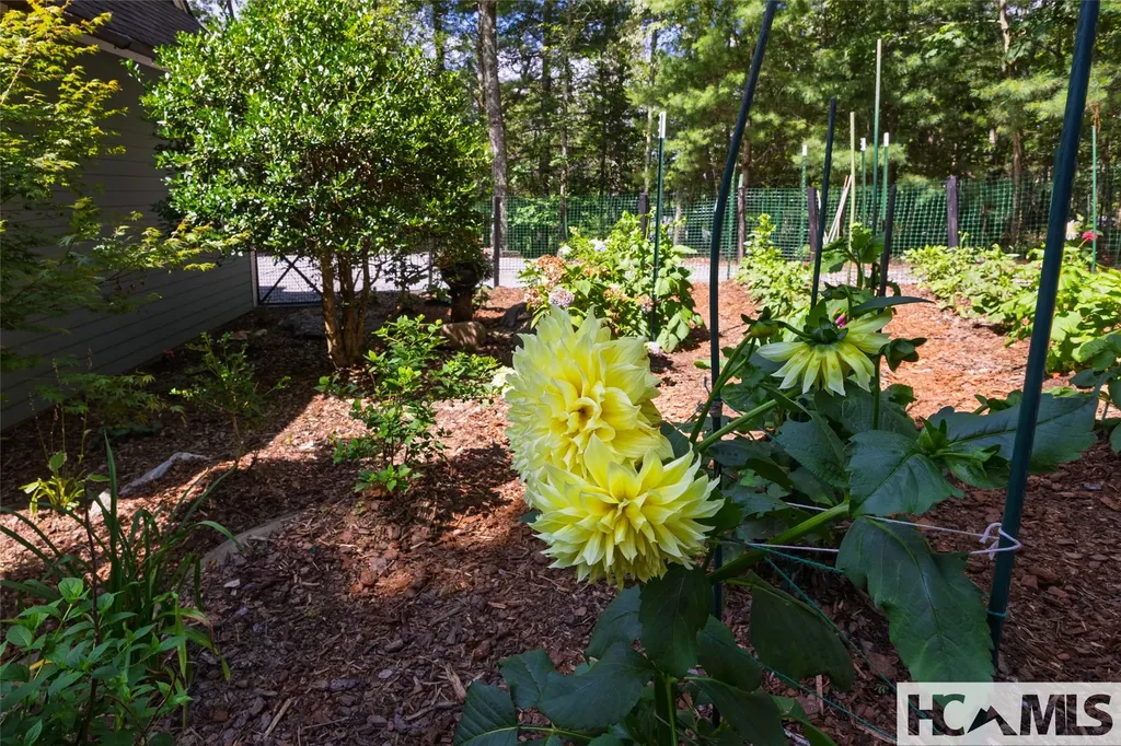1778 Spring Forest Road Sapphire NC 28774