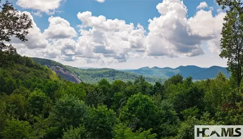 1778 Spring Forest Road Sapphire NC 28774