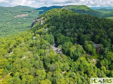 1778 Spring Forest Road Sapphire NC 28774