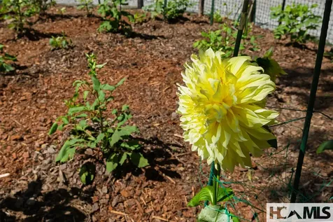 1778 Spring Forest Road Sapphire NC 28774