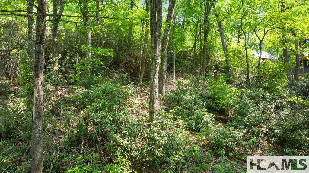 30/31 Sherwood Forest Road Highlands NC 28741