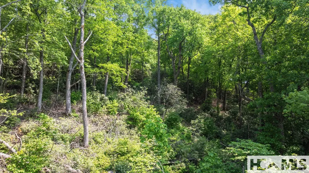 30/31 Sherwood Forest Road Highlands NC 28741