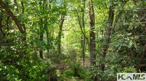 30/31 Sherwood Forest Road Highlands NC 28741