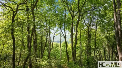 30/31 Sherwood Forest Road Highlands NC 28741