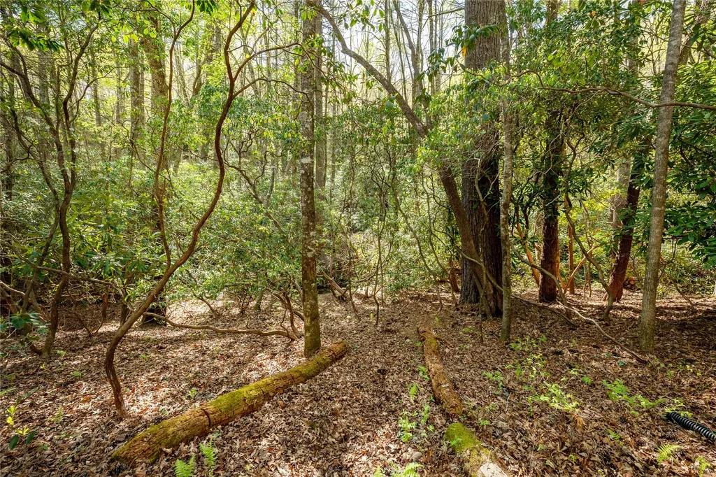867 Buckberry Drive Sapphire NC 28774