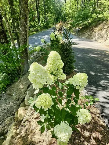 27 Shortoff Spring Road Highlands NC 28741