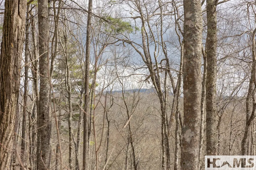 Lot 46 Skeen Mill Lane Cullowhee NC 28723