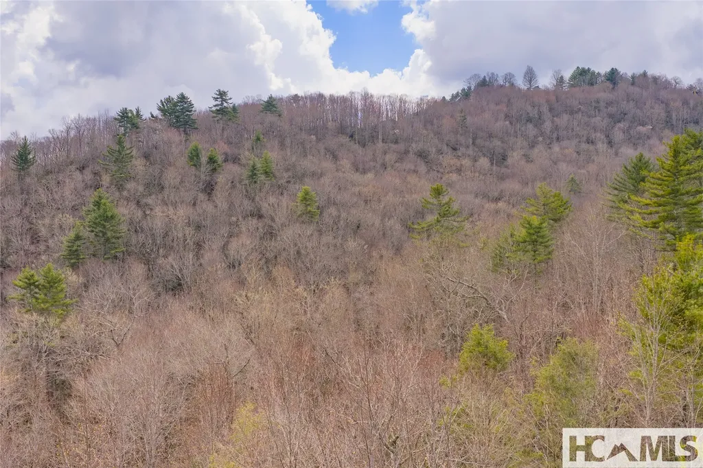 Lot 46 Skeen Mill Lane Cullowhee NC 28723
