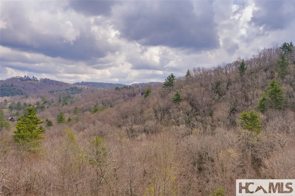 Lot 46 Skeen Mill Lane Cullowhee NC 28723