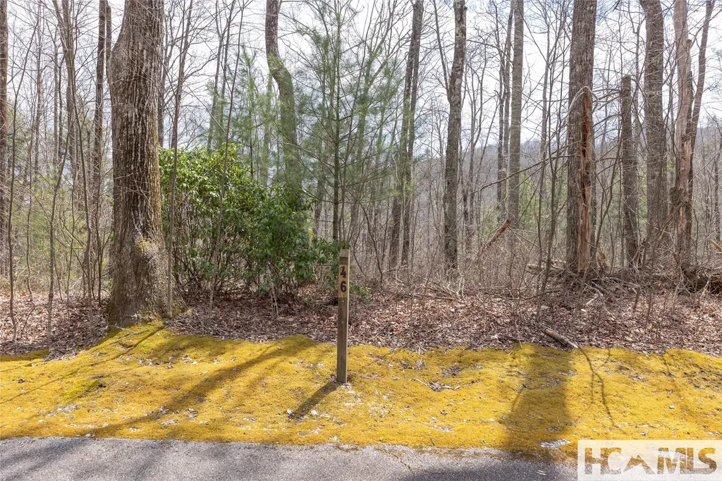 Lot 46 Skeen Mill Lane Cullowhee NC 28723