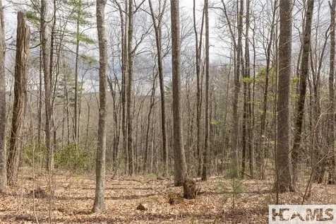 Lot 46 Skeen Mill Lane Cullowhee NC 28723