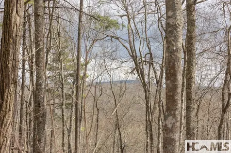 Lot 46 Skeen Mill Lane Cullowhee NC 28723