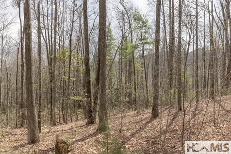 Lot 46 Skeen Mill Lane Cullowhee NC 28723