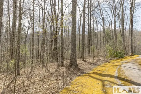 Lot 46 Skeen Mill Lane Cullowhee NC 28723